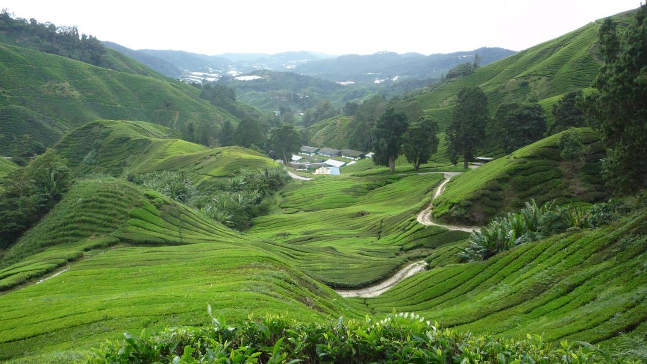 The Quintet Cameron Highlands By Tulip Tanah Rata Extérieur photo